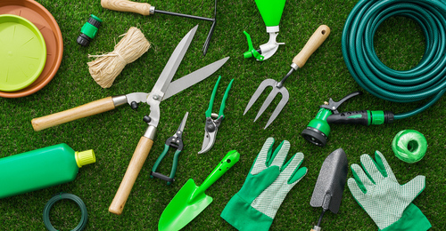 A collection of essential garden tools