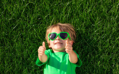 Ensuring the Health and Beauty of Your Lawn Year-Round