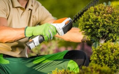 Unleash the Beauty of Your Landscape: Summer Tree and Shrub Trimming