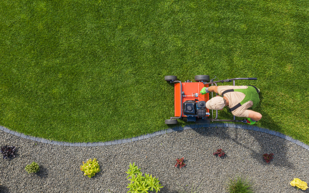 Is Aeration and Overseeding Worth It? The Benefits of Fall Lawn Care for Homeowners