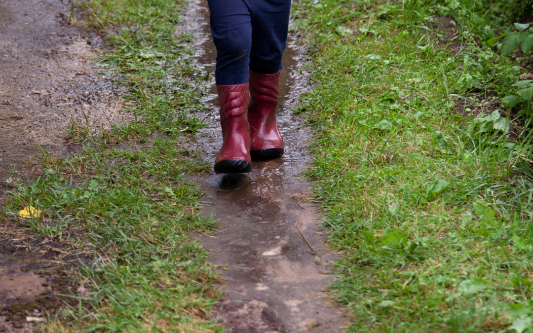 How to Fix Backyard Flooding: A Comprehensive Guide for Homeowners