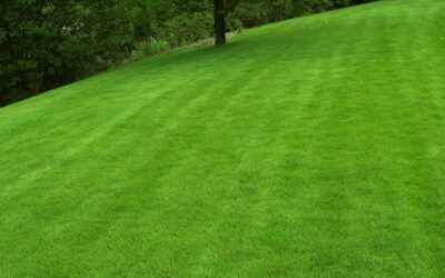 3 Techniques for a Perfectly Mowed Lawn