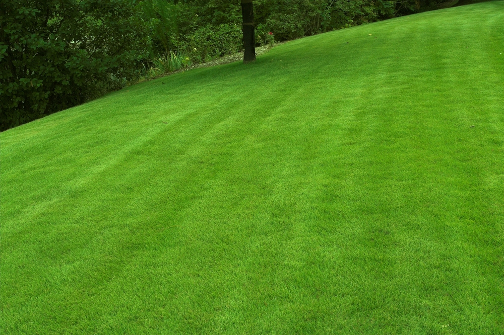 Perfectly Mowed Lawn in Frisco on a Slope
