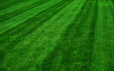 Best Mowing Pattern For Riding Mower