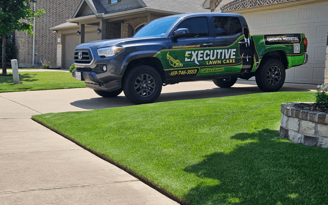 5 Questions for Your Next Lawn Mowing Company